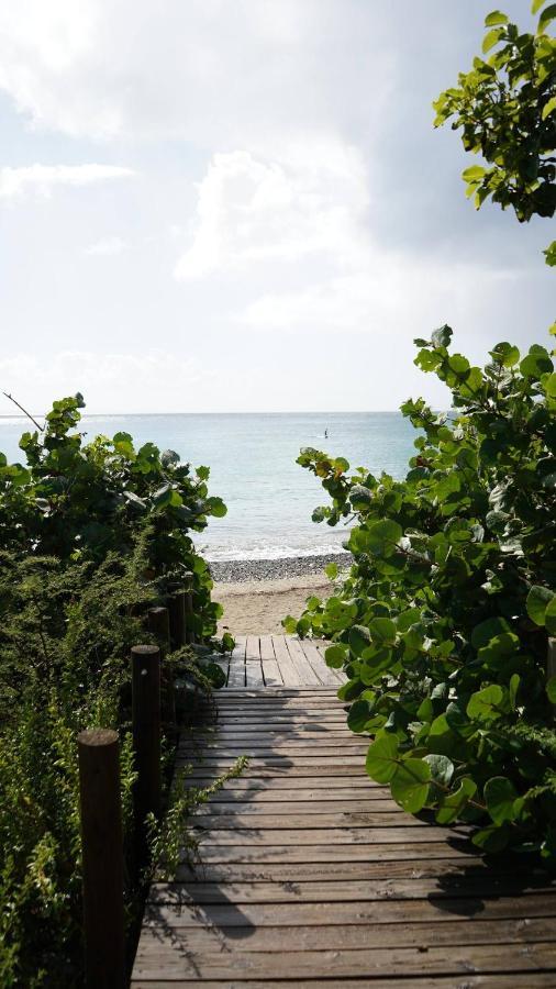Coqui Beach Home, Culebra Isla Culebra Zewnętrze zdjęcie