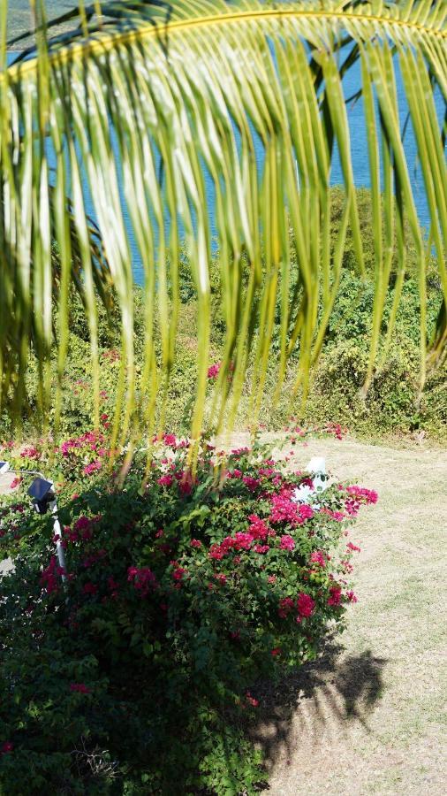 Coqui Beach Home, Culebra Isla Culebra Zewnętrze zdjęcie