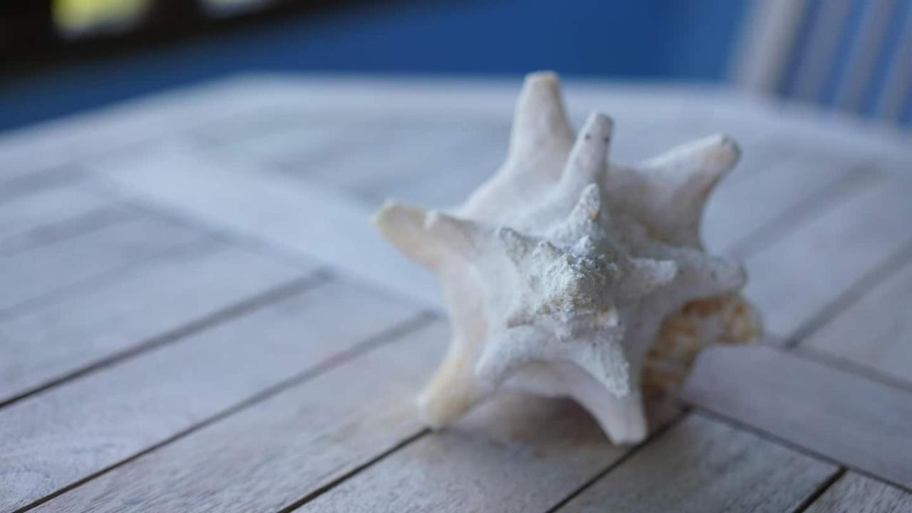 Coqui Beach Home, Culebra Isla Culebra Zewnętrze zdjęcie